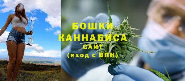 шишки Бородино